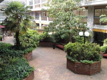 Executive Inn Express Vancouver Airport Richmond Ngoại thất bức ảnh